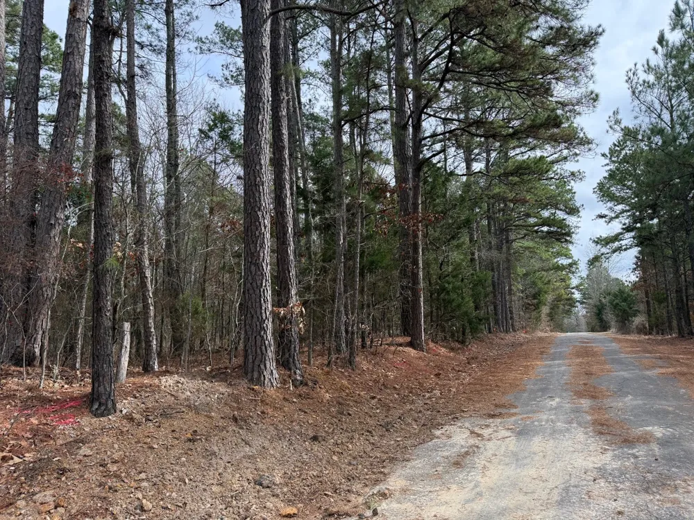 County Road 3986 Winnsboro, TX 75494