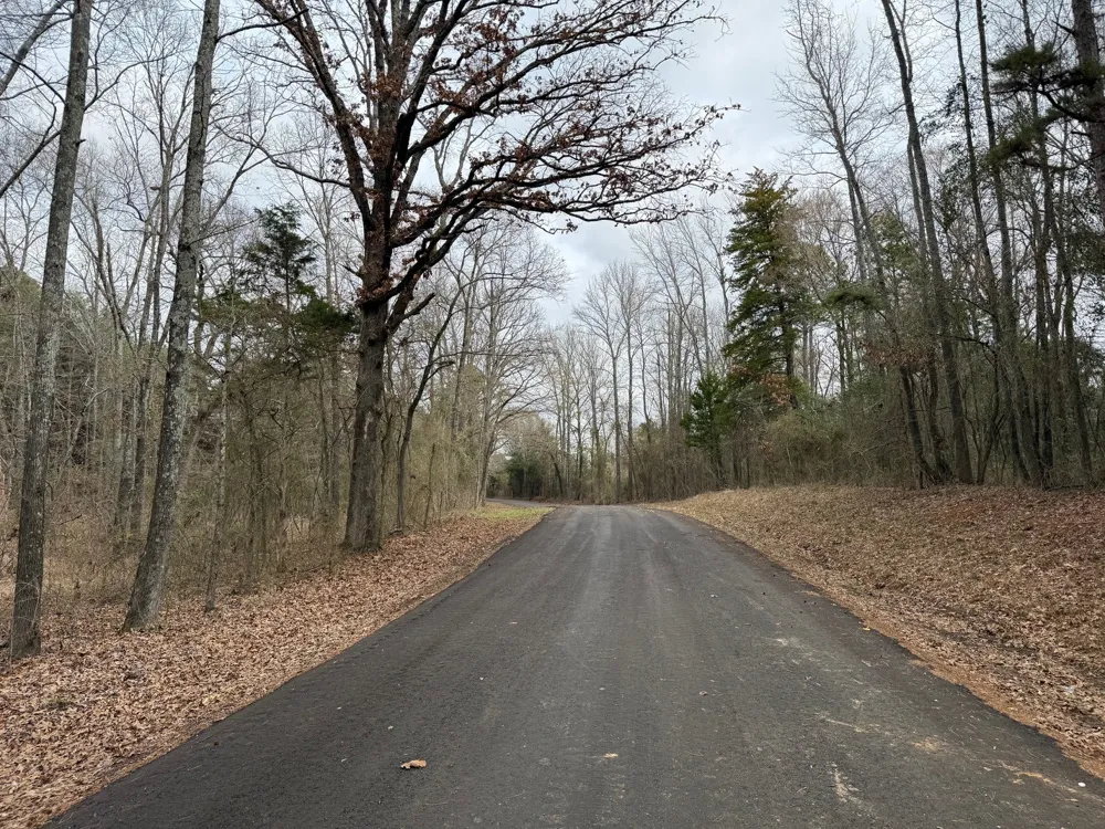 County Road 3986 Winnsboro, TX 75494