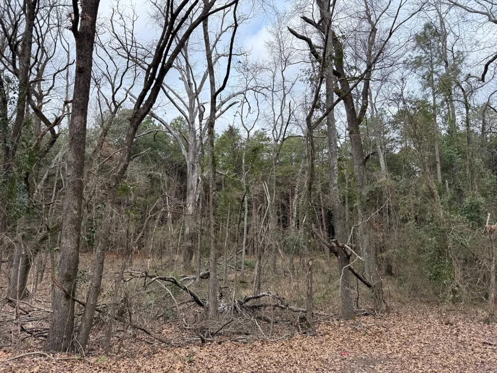 County Road 3986 Winnsboro, TX 75494