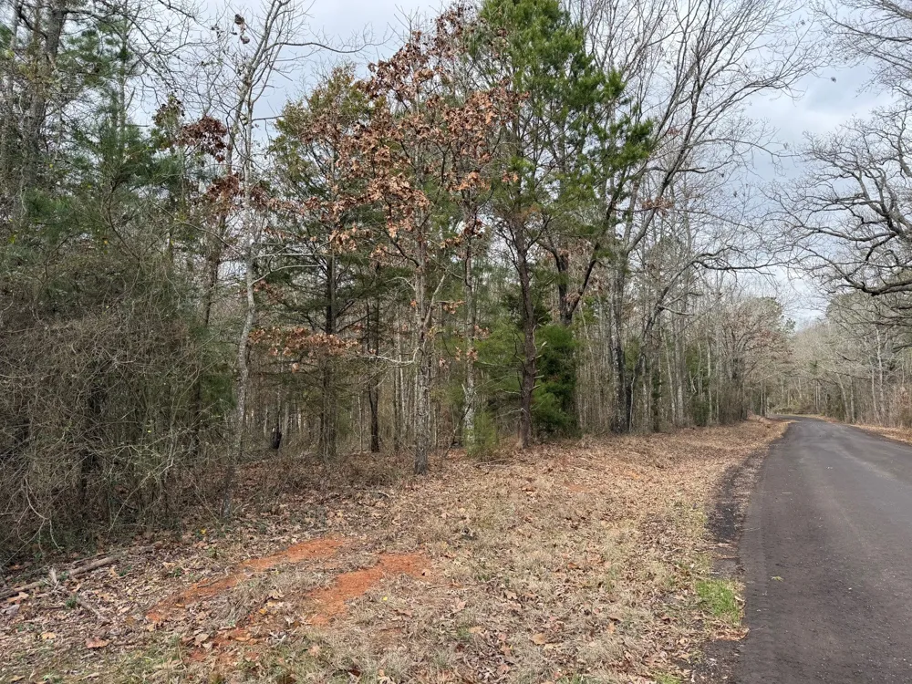 County Road 3986 Winnsboro, TX 75494