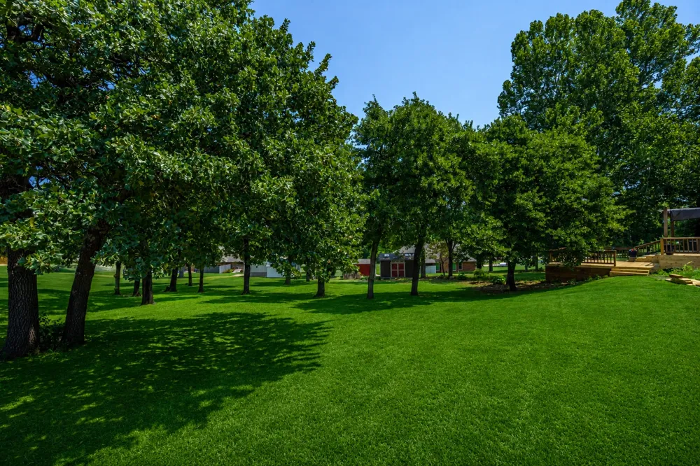 8008 Forest Oklahoma City, OK 73150