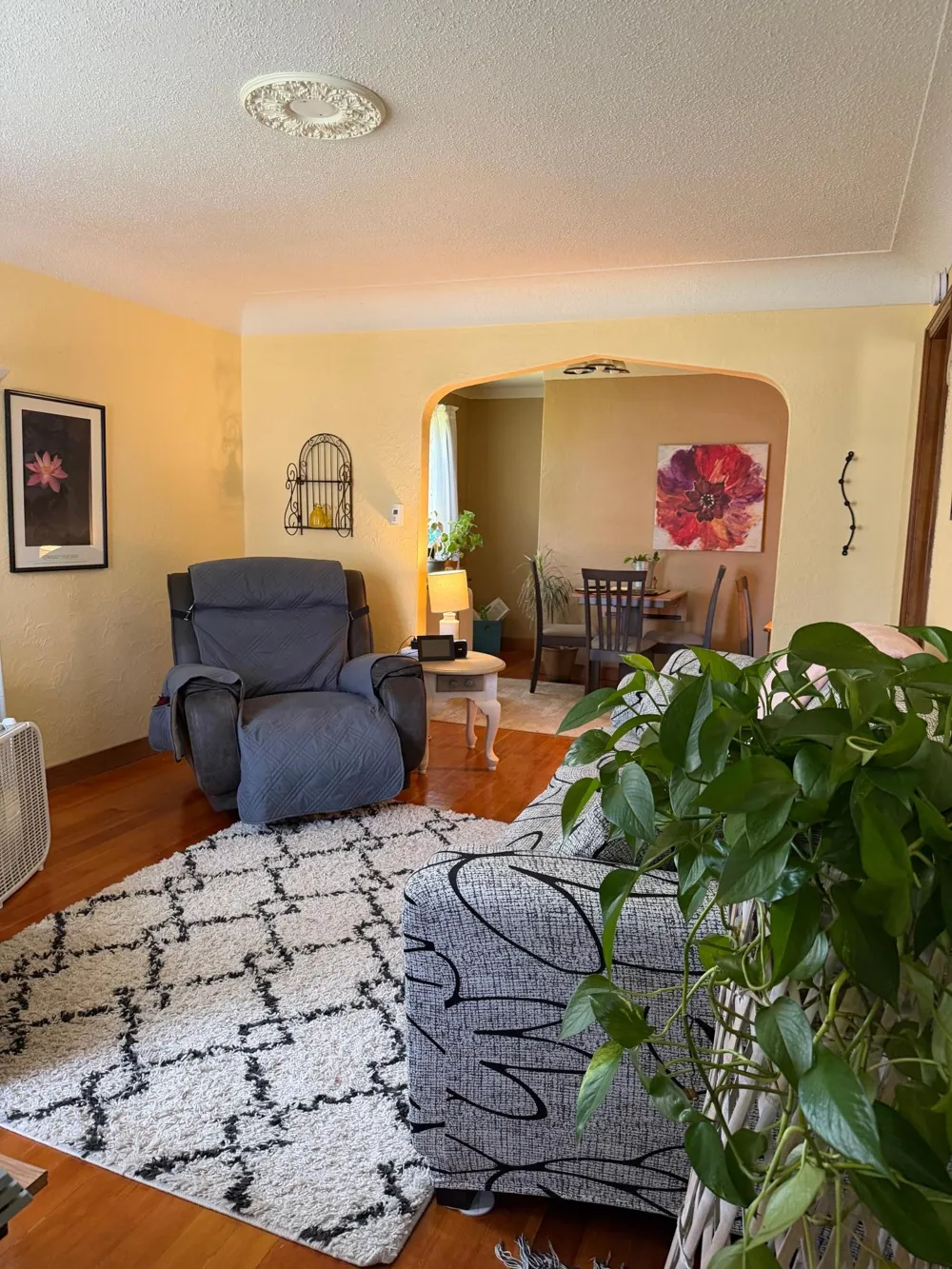 428 E Rooney Avenue Appleton, MN 56208
