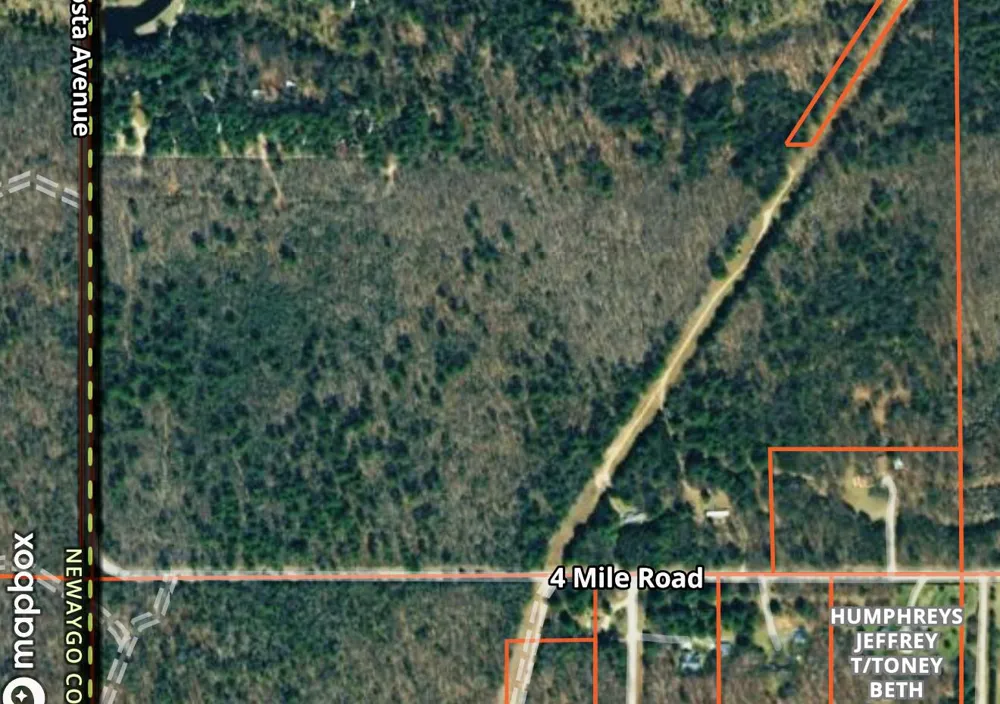 23680 4 Mile Road Morley, MI 49336