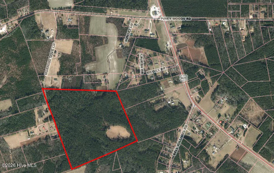 62.60 Morning Dove Ln Watha, NC 28478