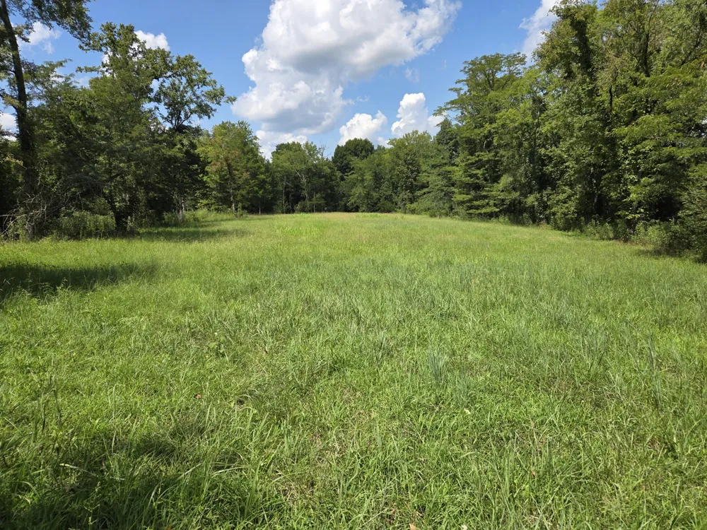 35 Reba Ln Fayetteville, TN 37334