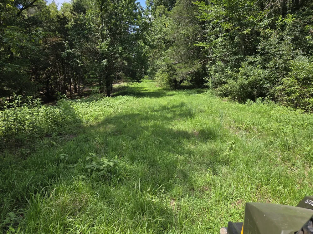 35 Reba Ln Fayetteville, TN 37334