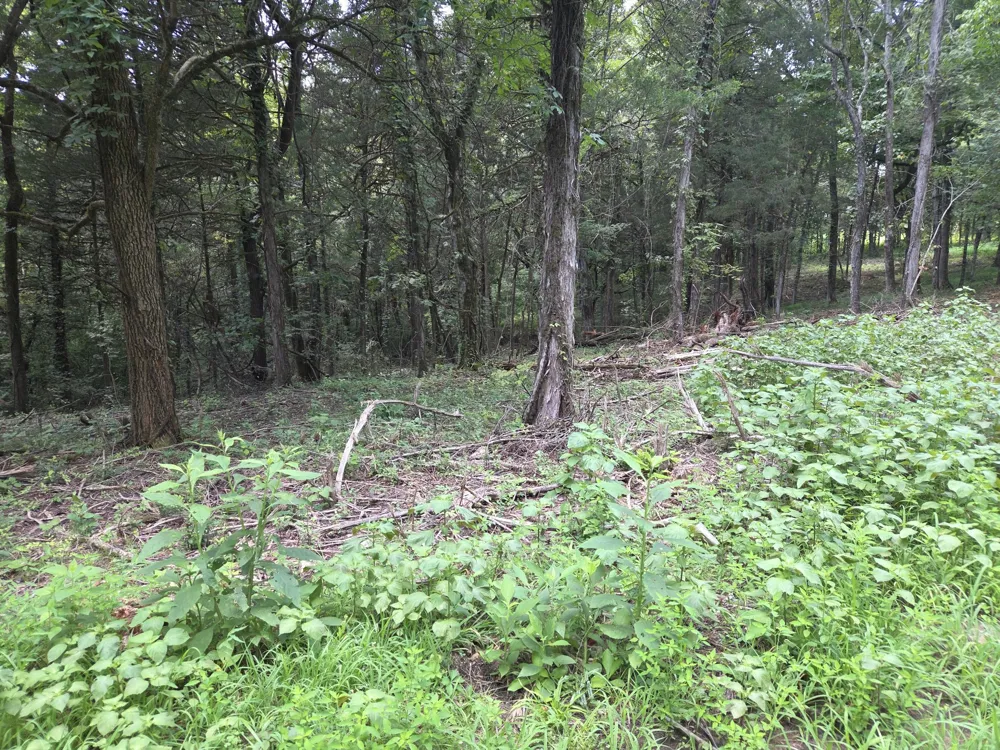 35 Reba Ln Fayetteville, TN 37334