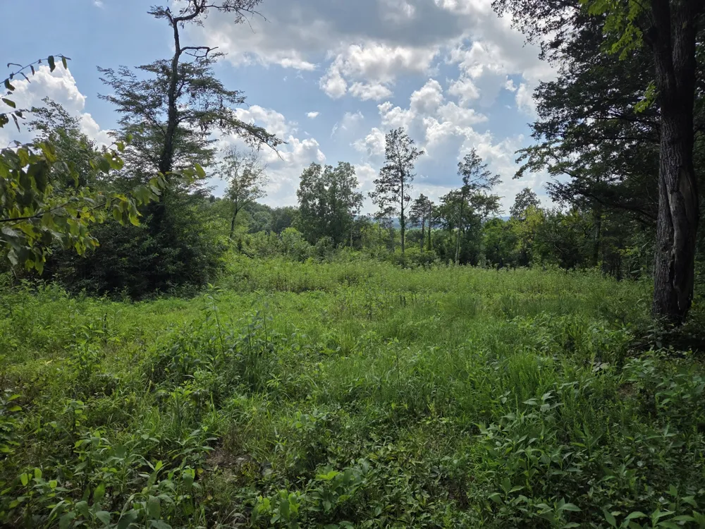 35 Reba Ln Fayetteville, TN 37334