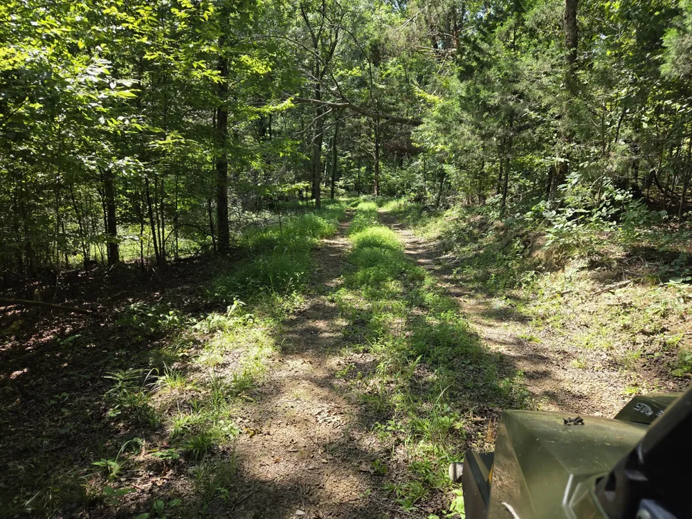 35 Reba Ln Fayetteville, TN 37334