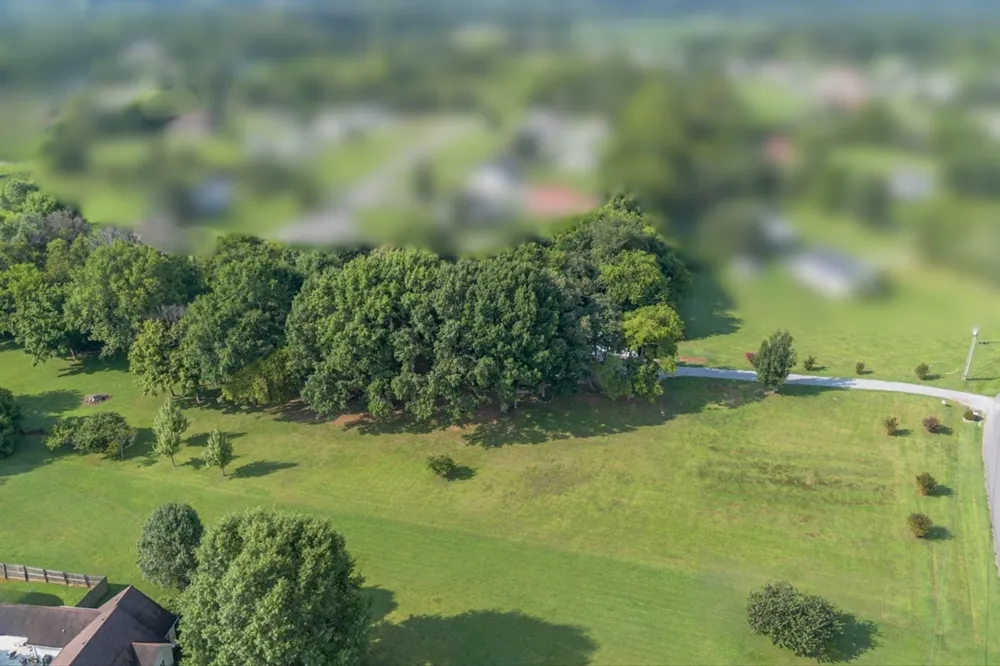 106 Tara Dr Unionville, TN 37180