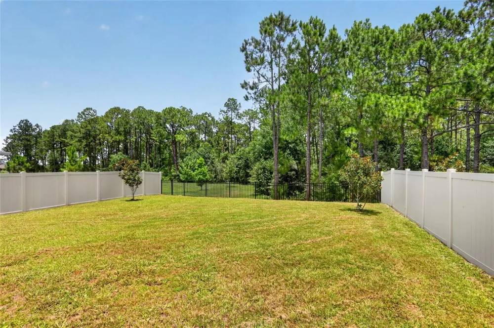 16420 WINDING PRESERVE CIRCLE Clermont, FL 34714