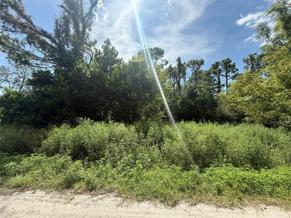 STAR ROAD Brooksville, FL 34613