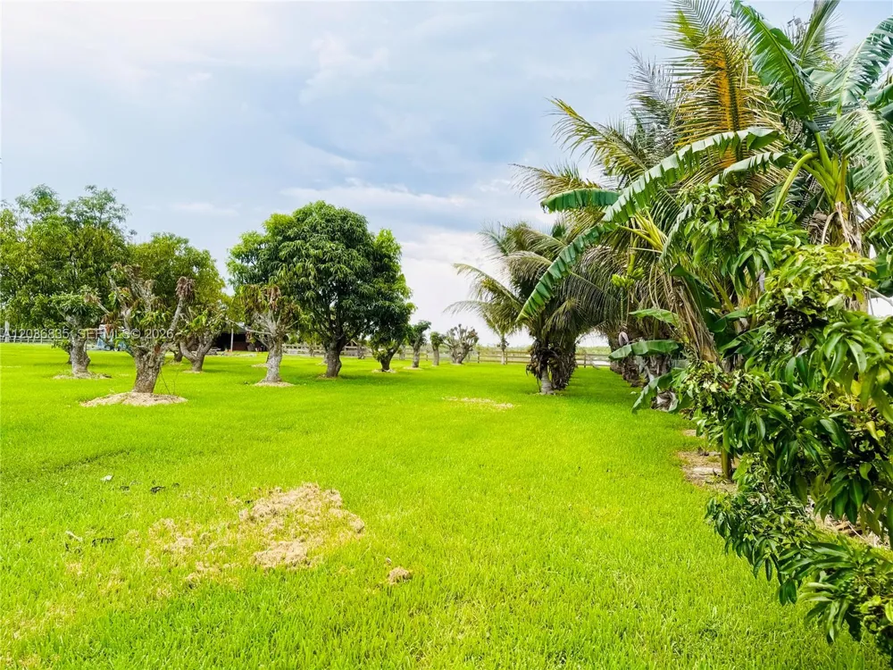 21217 SW 160 ST Miami, FL 33187