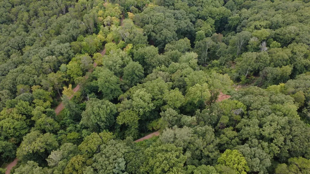 00 Firetower Road Jasper, GA 30143