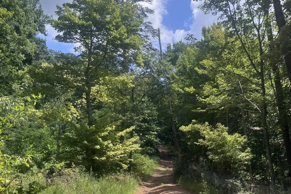00 Firetower Road Jasper, GA 30143
