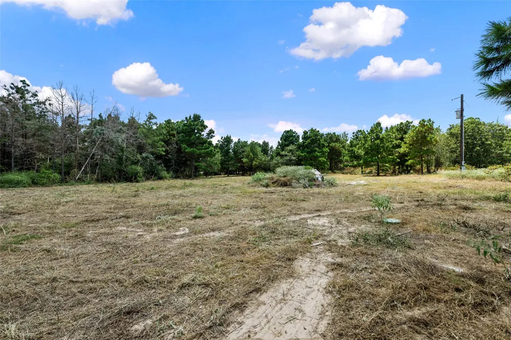 186 Hook Em Horns Drive Paige, TX 78659