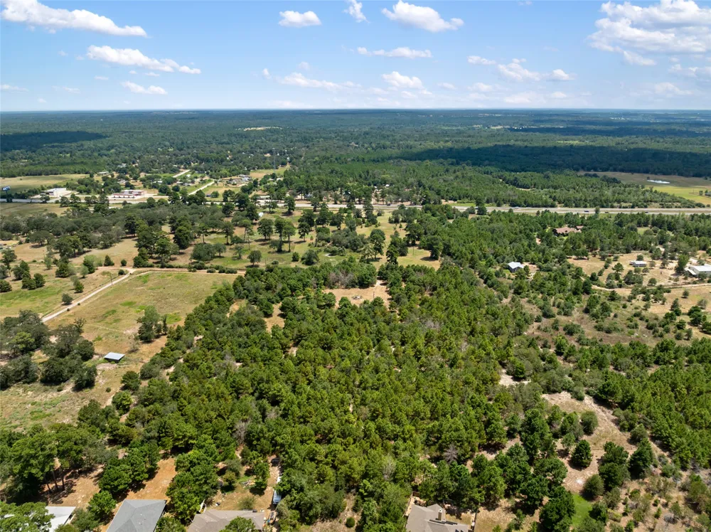 186 Hook Em Horns Drive Paige, TX 78659