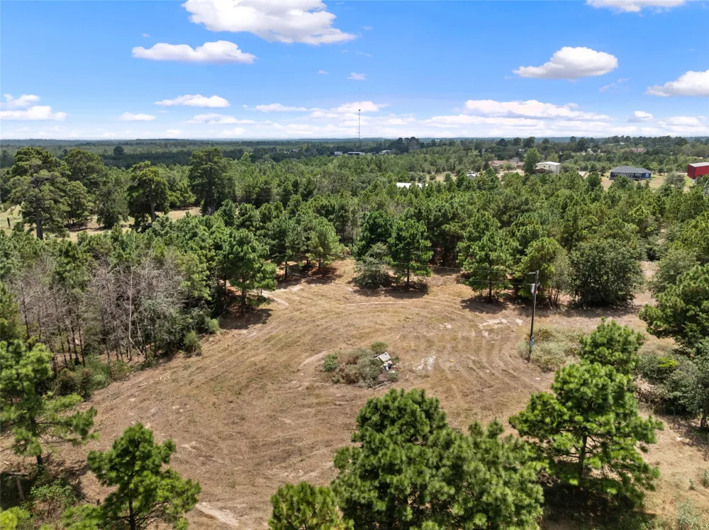 186 Hook Em Horns Drive Paige, TX 78659