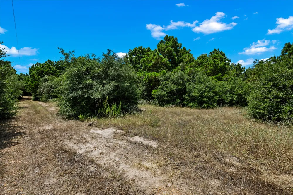 186 Hook Em Horns Drive Paige, TX 78659
