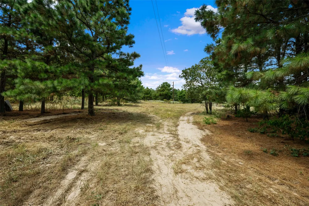 186 Hook Em Horns Drive Paige, TX 78659