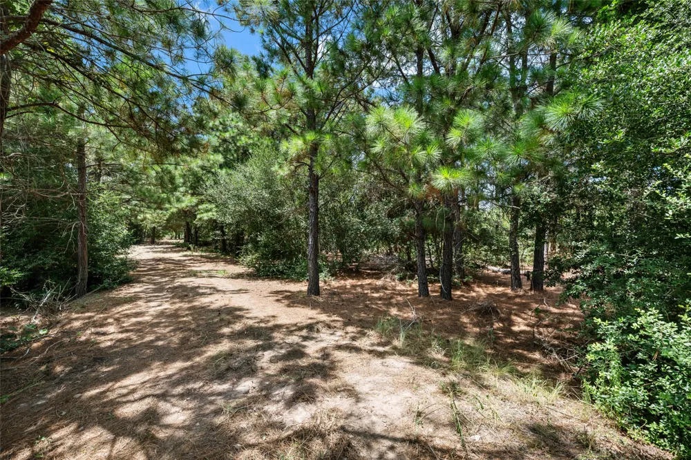 186 Hook Em Horns Drive Paige, TX 78659