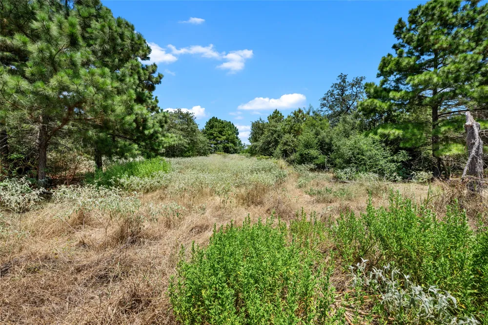186 Hook Em Horns Drive Paige, TX 78659