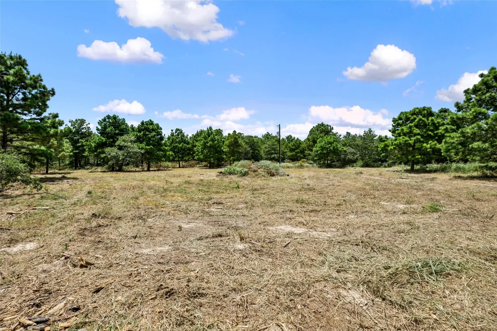 186 Hook Em Horns Drive Paige, TX 78659