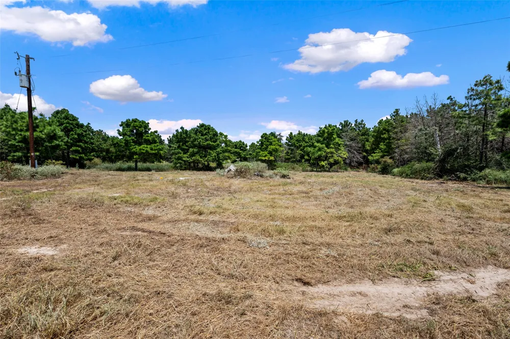 186 Hook Em Horns Drive Paige, TX 78659
