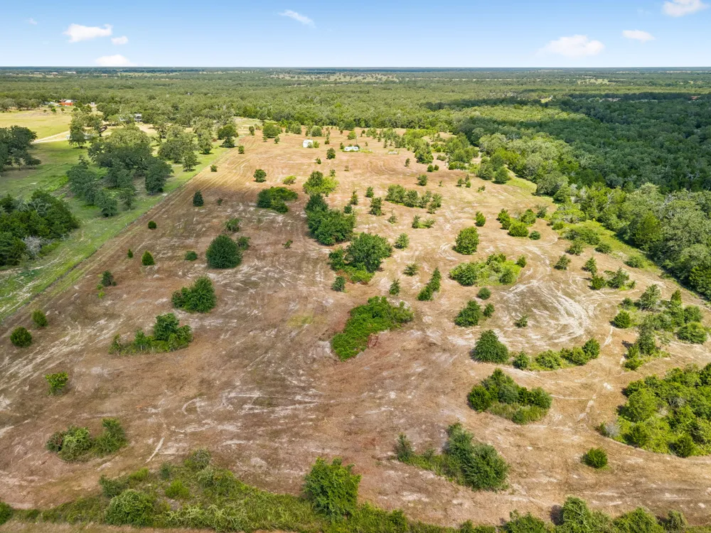1430 Raymond Lehmann Lane Ledbetter, TX 78946