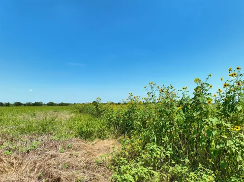2 CR 142 ROAD