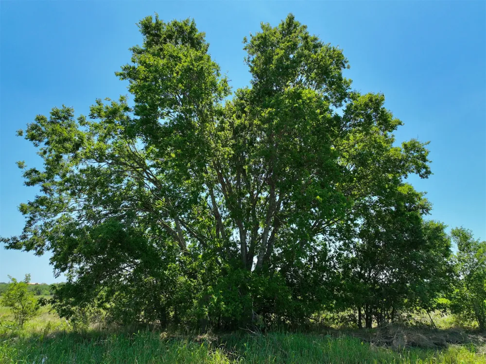 2 CR 142 ROAD Cameron, TX 76520