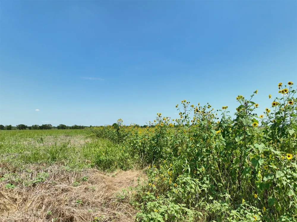 2 CR 142 ROAD Cameron, TX 76520