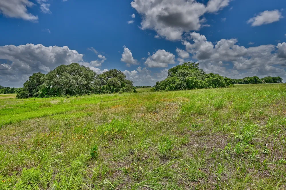 1552 Holub Road Schulenburg, TX 78956
