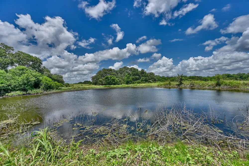 1552 Holub Road Schulenburg, TX 78956