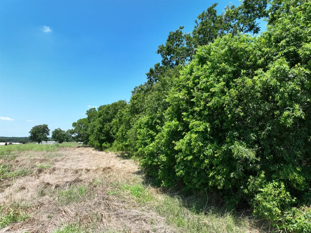 1 CR 142 ROAD Cameron, TX 76520
