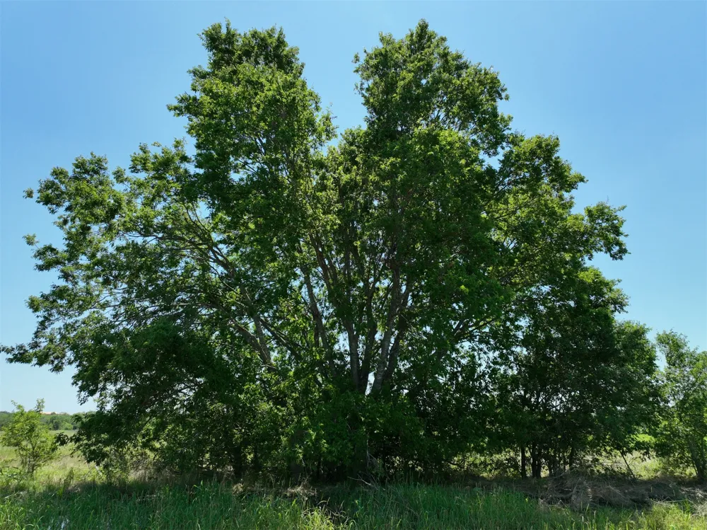 1 CR 142 ROAD Cameron, TX 76520