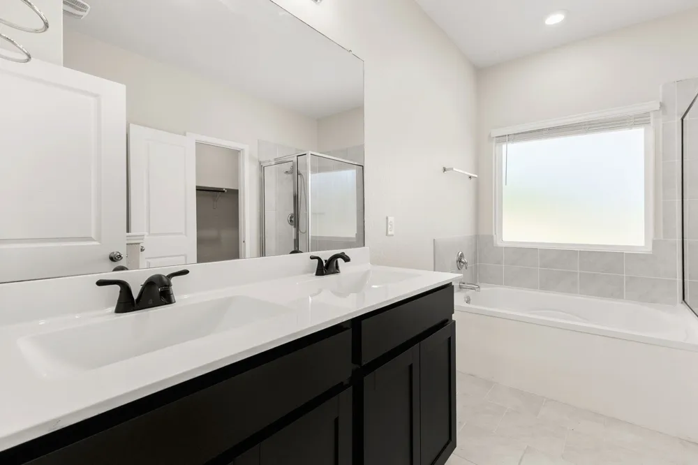 451 Butterfly Bush Court New Braunfels, TX 78130