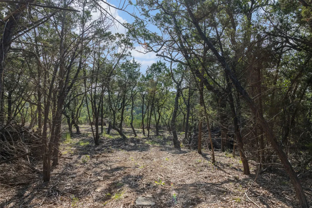 4 Mount Olive School Road Wimberley, TX 78676