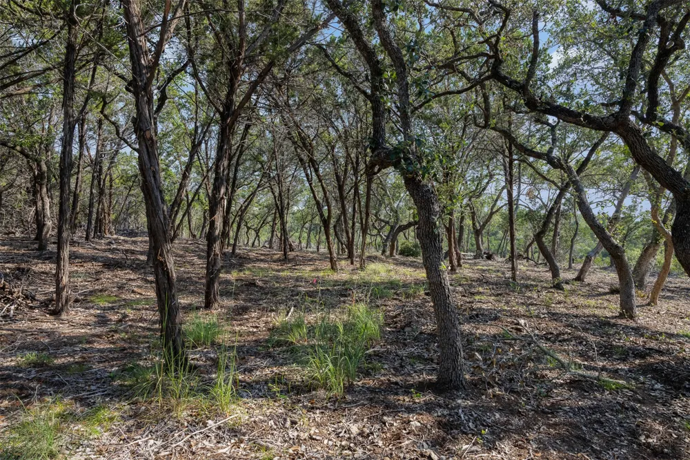 4 Mount Olive School Road Wimberley, TX 78676