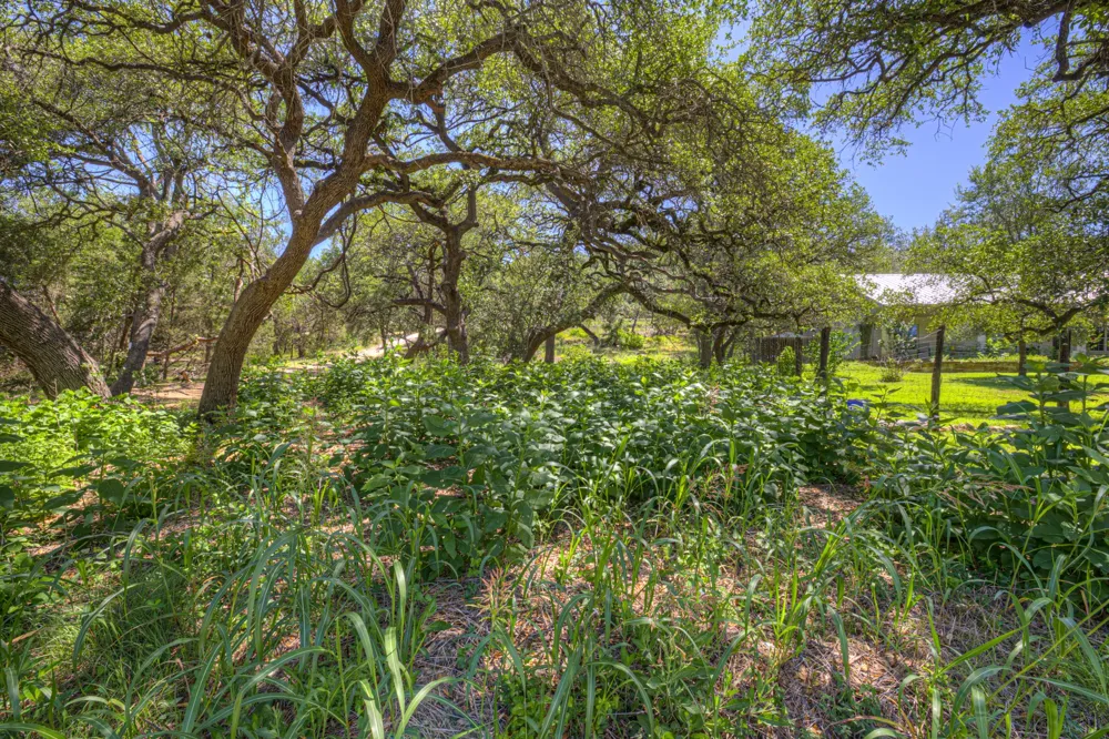 130 Lazy Leaf Wimberley, TX 78676