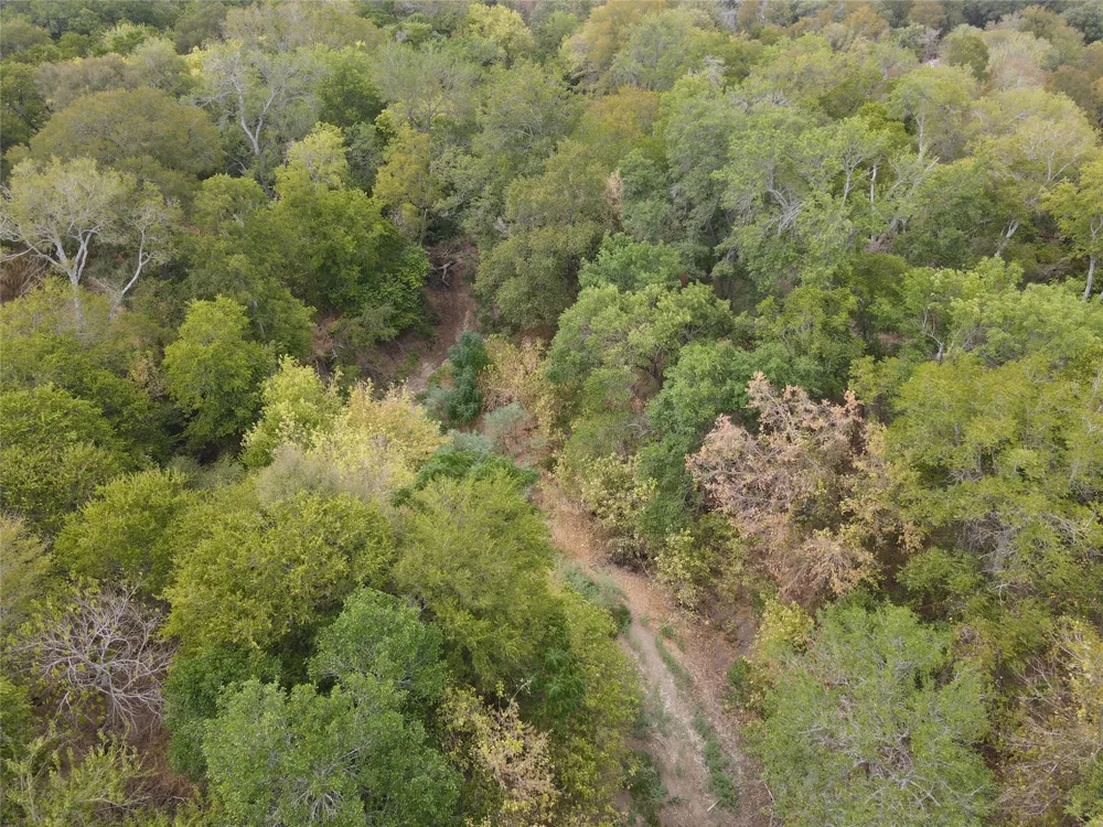 1285 Burdette Wells Road Lockhart, TX 78644