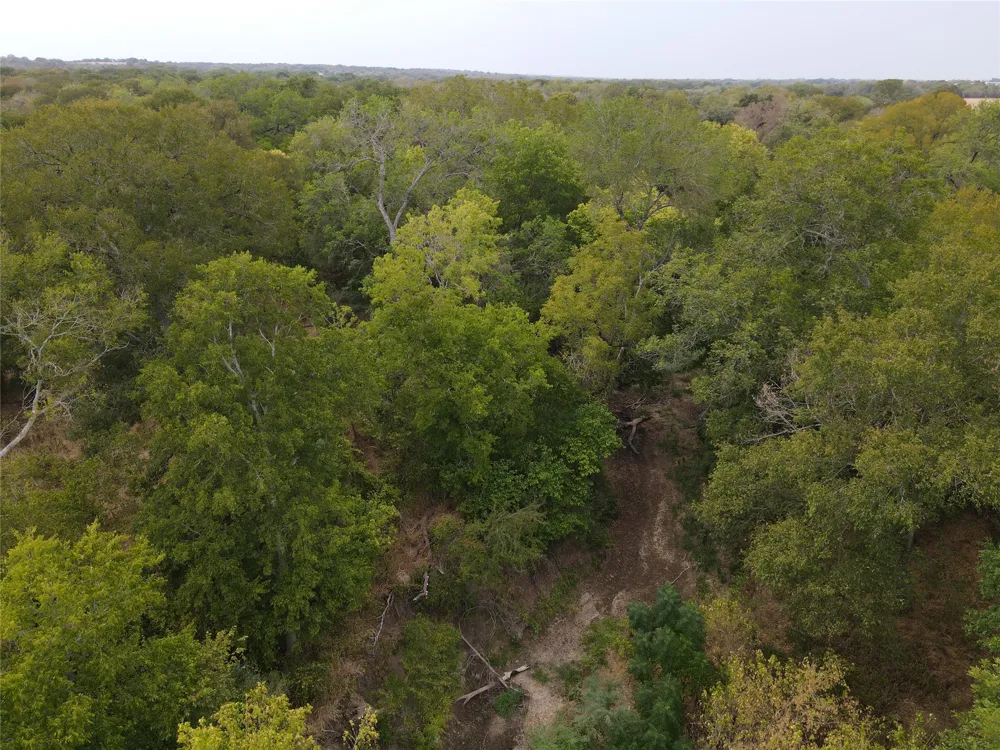 1285 Burdette Wells Road Lockhart, TX 78644
