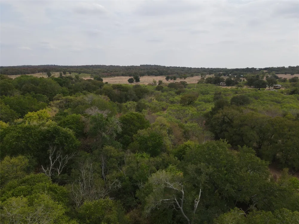 1285 Burdette Wells Road Lockhart, TX 78644