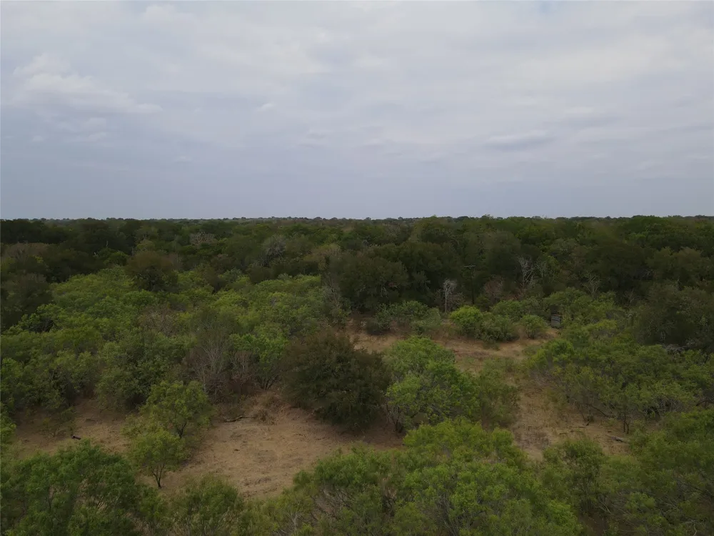 1285 Burdette Wells Road Lockhart, TX 78644