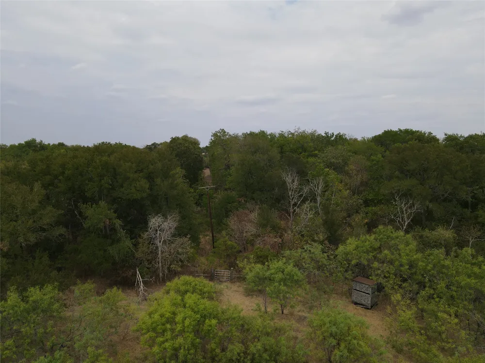 1285 Burdette Wells Road Lockhart, TX 78644