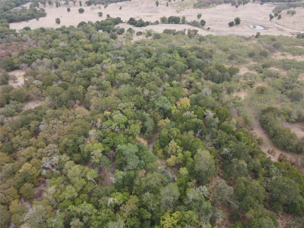 1285 Burdette Wells Road Lockhart, TX 78644