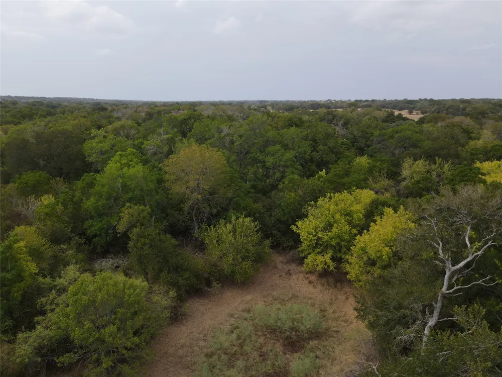 1285 Burdette Wells Road Lockhart, TX 78644