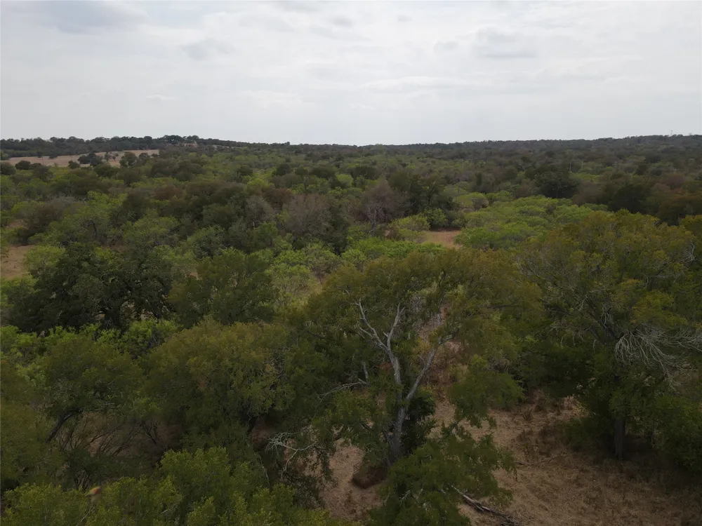 1285 Burdette Wells Road Lockhart, TX 78644