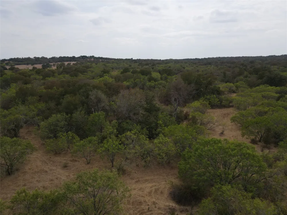 1285 Burdette Wells Road Lockhart, TX 78644