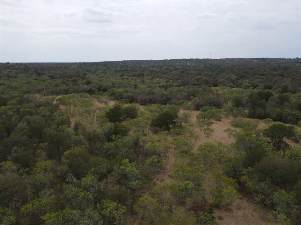 1285 Burdette Wells Road Lockhart, TX 78644